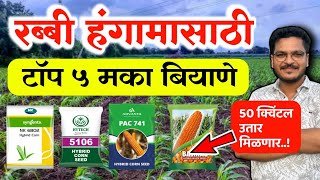रब्बी हंगामासाठी टॉप 5 मका बियाणे 🔥 Rabbi Hagamat konte Biyane Lavave
