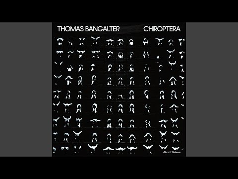 Video thumbnail for Chiroptera (Solo Intro)