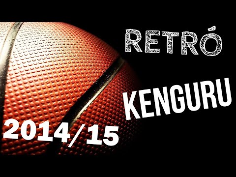 FVSC Vadmacskák vs Salgótarjáni KI Fekete Sasok