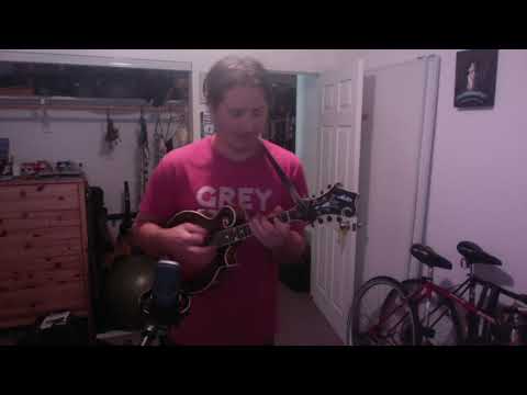Rikki Don't Lose That Number - Cover by Matt C Bruno