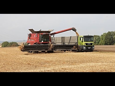 Harvest SoyBean | Case IH Axial-Flow 9120 + 9230 | Man Truck | Agriculture