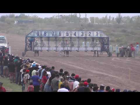 MEMI - Club Hípico Cipriano Catriel 24-10-21