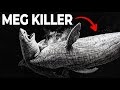 The Sperm Whale That Hunted Megalodons
