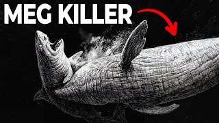 When Megalodons Were Prey