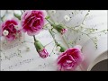 MAGICAL WINTER VIDEO