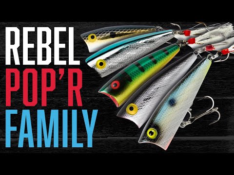 Rebel Pop R: All 6 Models Compared (Which is Best for You?)