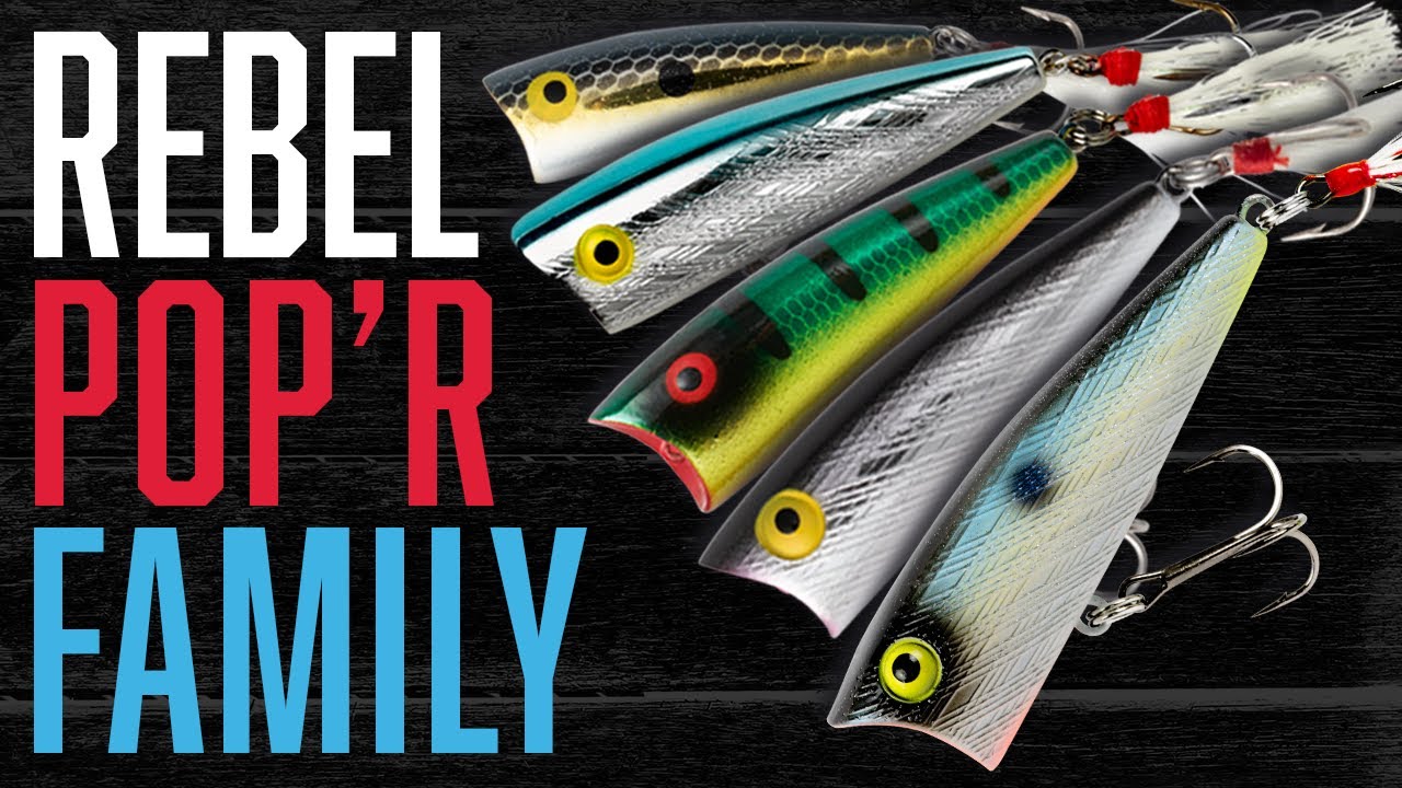 Rebel Pop R: All 6 Models Compared (Which is Best for You?)