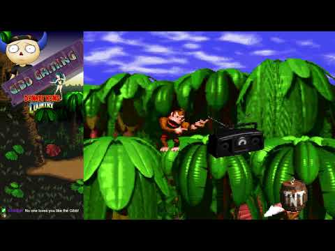 Welcome to the Jungle - Donkey Kong Country & DKC Mania