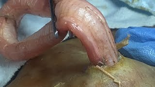 Download lagu π»ππ π©πππ πΉπππππππ π«πππ πΌππ
ππ π»ππ πΊπππ π°π πΉπππππππππ π¨ππ
πΉπππππππ #πππ mp3 Download lagu π»ππ π©πππ πΉπππππππ π«πππ πΌππ
ππ π»ππ πΊπππ π°π πΉπππππππππ π¨ππ
πΉπππππππ #πππ mp3