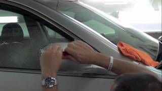Paint Protection Film - 2012 Hyundai Equus fenders and mirrors