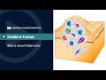 Inside a Tumor: What is Cancer? Video Series