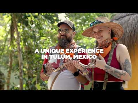 Akumal Monkey Sanctuary: Live an unforgettable experience!