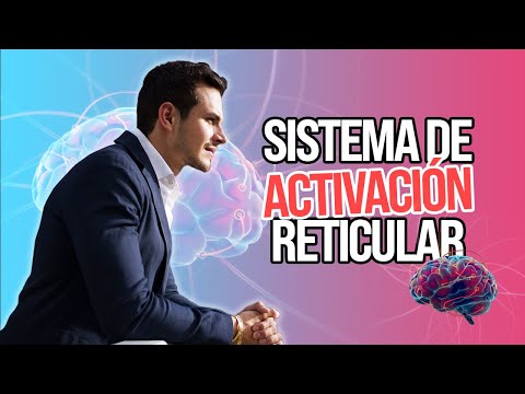 Cómo APROVECHAR e IDENTIFICAR las OPORTUNIDADES con el sistema de activación reticular (SAR)