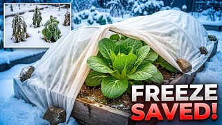 Are You Making These Critical WINTER GARDEN MISTAKES?