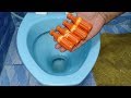 Will It Flush Fanta Orange Mini Cans