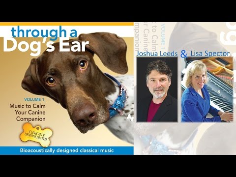 Joshua Leeds and Lisa Spector - Through A Dog’s Ear Vol. 1 (90-Second Sampler)