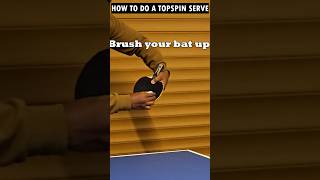 Download lagu How To Do a Topspin Serve mp3