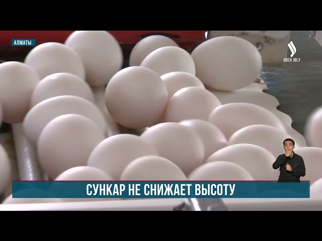 Алматинская фабрика «Сункар» не снижает высоту