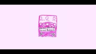 Animal Backwards - Come Down