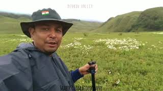 preview picture of video 'Dzukou Valley .. the land of flowers !!!'