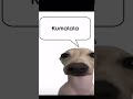 Kumalla Kumala Savesta Funny Meme