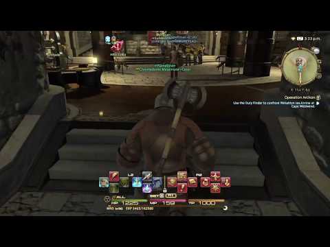 FINAL FANTASY XIV Marauder & Warrior Lv 30
