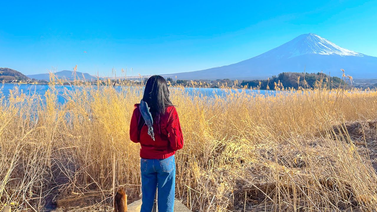 From Tokyo: Mt. Fuji, Kamakura, Lake Ashi and Oshino Hakkai