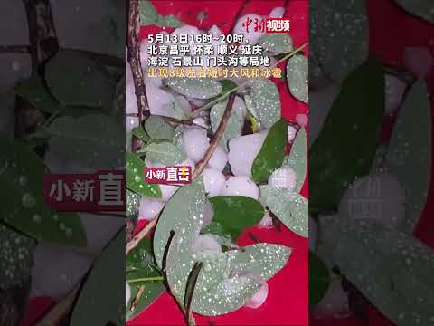 大如鸡蛋 北京海淀等多地下冰雹 气象局：可能造成雹灾