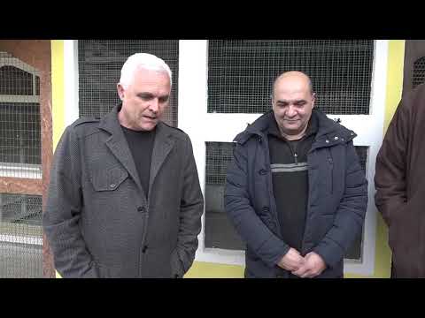 Istaknuti golubari saveza Austrije u 2018