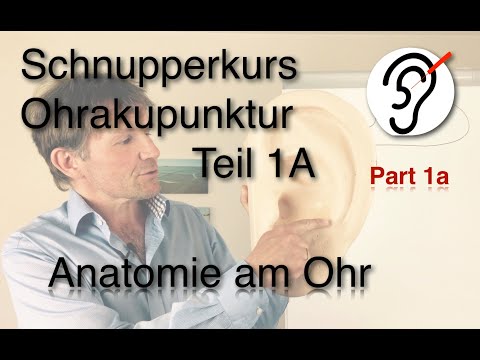 Workshop Ohrakupunktur Teil 1A (Anatomie & Orientierung am Ohr)