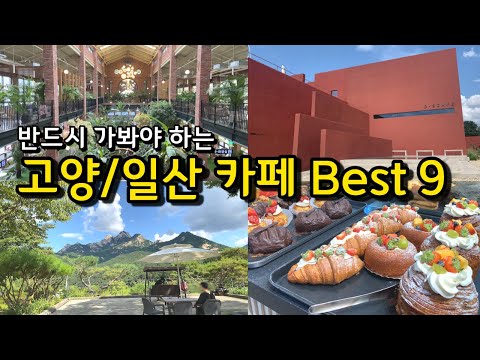 한국 카페 중 누구나 한 번쯤 가봐야 할 인기 명소