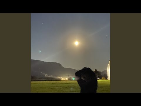 sweet dreams, my little insomniac