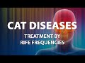 Cat Diseases - RIFE Healing Frequencies Treatment - Frequency Energy, Quantum Medicine- Bioresonance