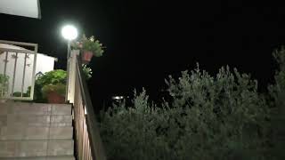 malviventi-a-spasso-nelle-campagne-la-gente-spara-in-aria