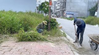 Random cleanup Transforming overgrown grass on walkways makes people happy