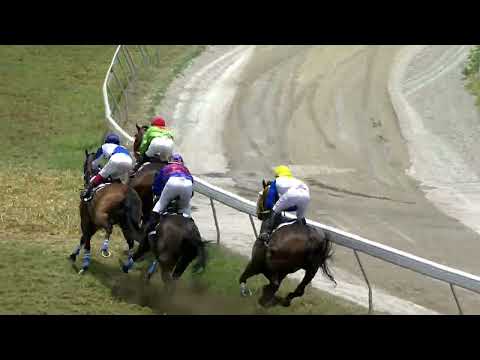 41eme journée - Race 1 - Instinctive Power