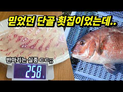 악랄한 횟감 빼돌리기