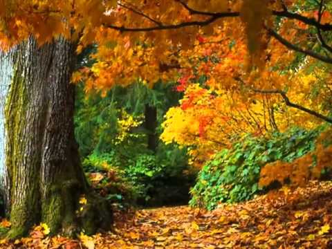 Carla Bruni - autumn
