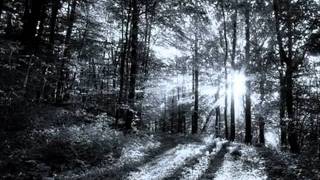 Elite Force - Heart of darkness (Original dj mix)