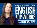 Top 10 Animal Sounds in English