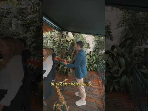 video cover 1 fornecedor: Di Gasparoto – Música & Casamento