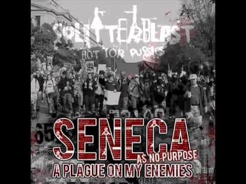 Seneca as no purpose - My angel she is scared of me