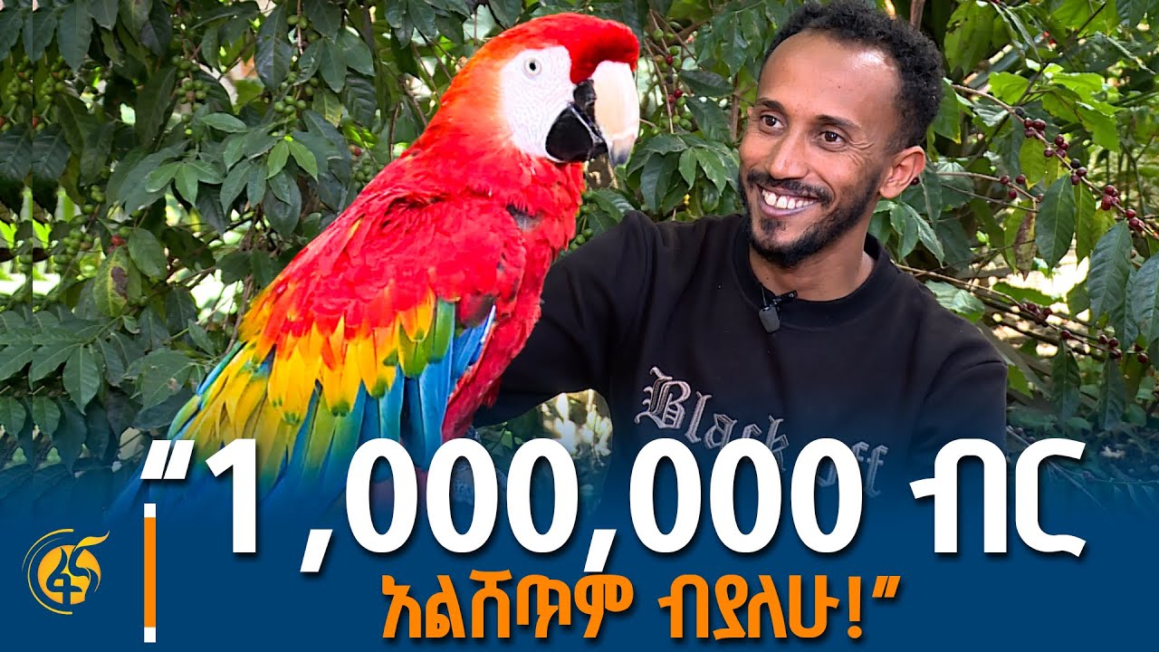 “አዲስ ዝርያ አግኝቻለሁ” ከአዕዋፋት አርቢው ይኑስ መሱድ ጋር የተደረገ ቆይታ