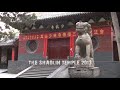 The Shaolin Temple 2013