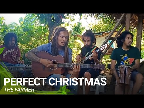 Perfect Christmas | The Farmer (Cover)