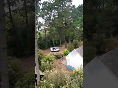 Abattage d'un cyprès en rétention avec tyrolienne