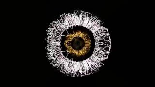 Data feat. Benny Sings - Don't Sing [Psychedelic Visuals - Sublime Songs 2.10]