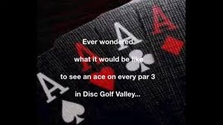 Urdizzle's Ace Showcase - Ace on Every Par 3 In Disc Golf Valley (And some bonus holes!)