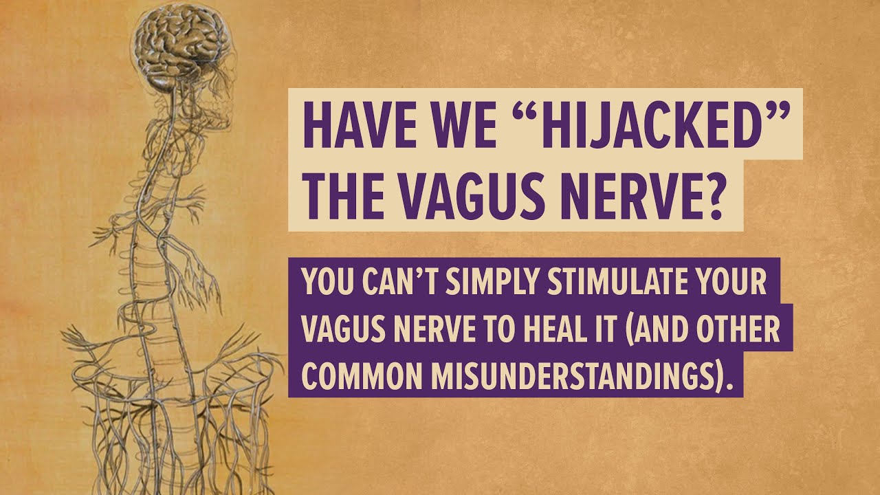 Have we "hijacked" the vagus nerve?  #nervoussystemregulation  #polyvagaltheory