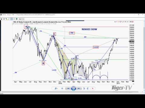 January 13th Trade What You See with Larry Pesavento on TFNN - 2017